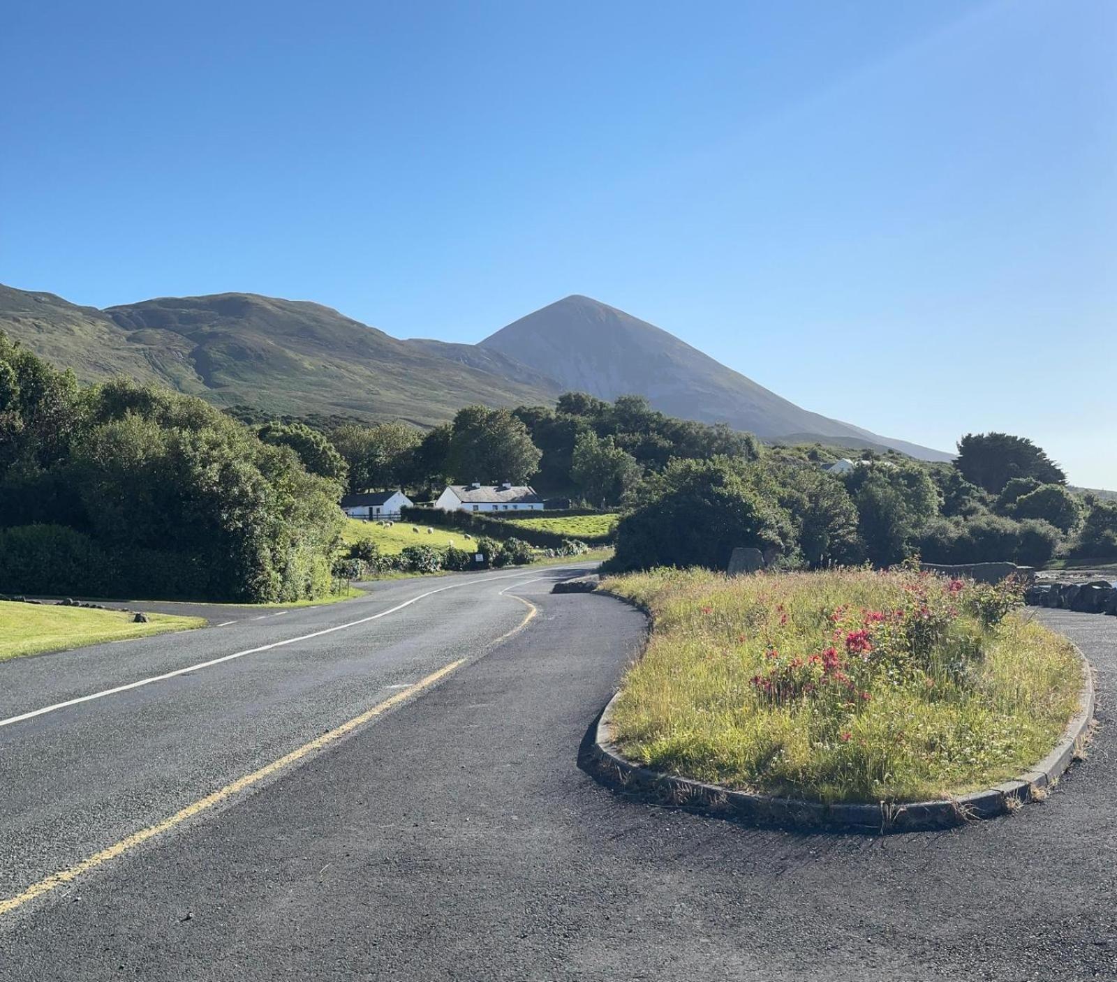 Ashville Guesthouse Westport Luaran gambar